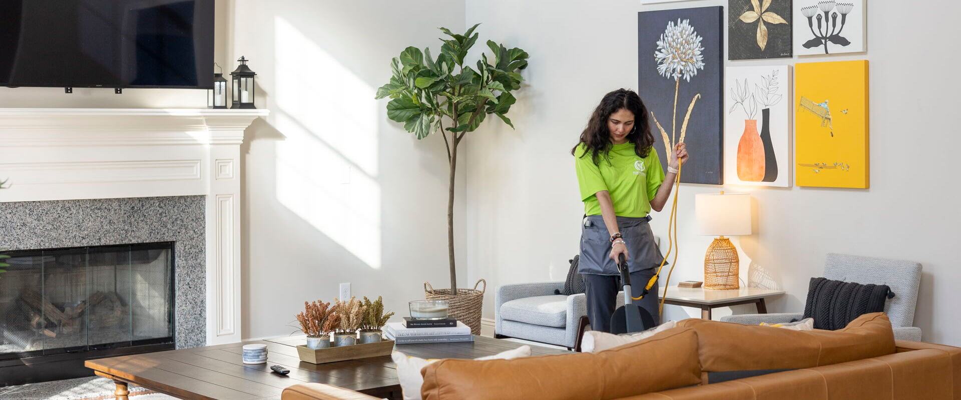 cabin-cleaning-bg