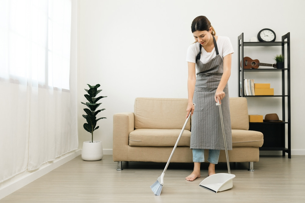 leading house cleaners in dublin