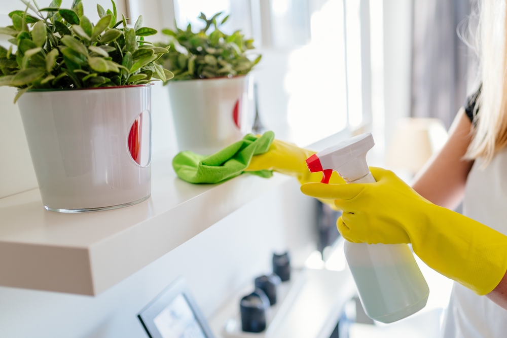 what are neglected areas in housekeeping?